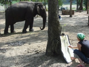 me &amp; elephant